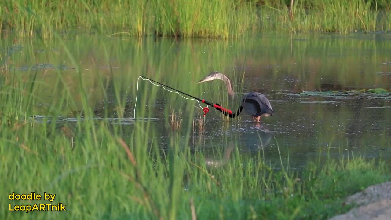 Snippets SkateBIRDer- Morning Routine- Heron level 300