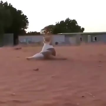 Funny animals and cute little adorable puppy