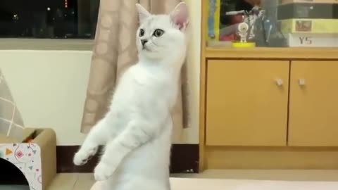 😂 Hakuna Matata ~~~