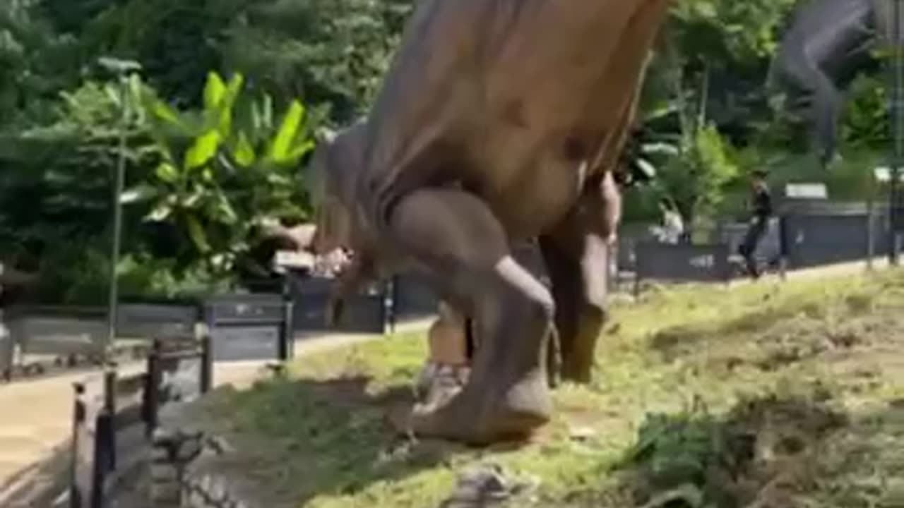 Dinosaur park