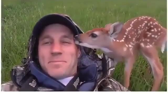 That's why, I like animals a lot. I need a pet.