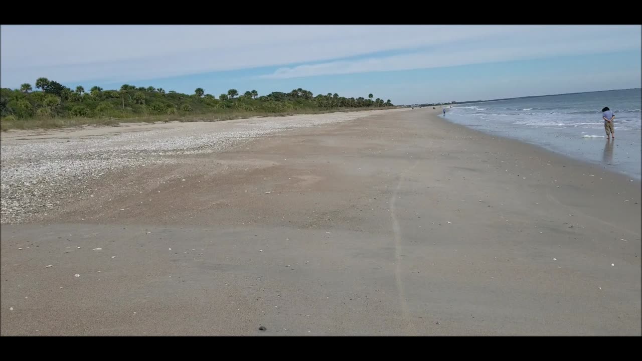 Took a ride to Edisto Beach State Park SC