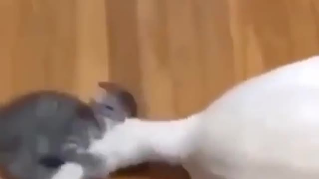 Придумайте название к видео