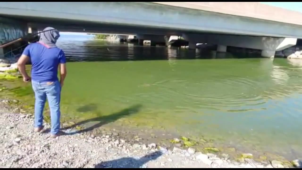 Carp Fishing - Jordon Harbor and Trenton River Ontario Canada