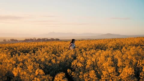 Relaxing Music | Sleeping, Meditation, Stress Relief | [512] ⭐️