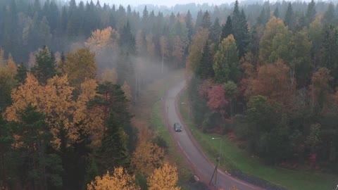 Quiet forest road