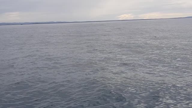 Whale Breaches In The Distance And Soaks People