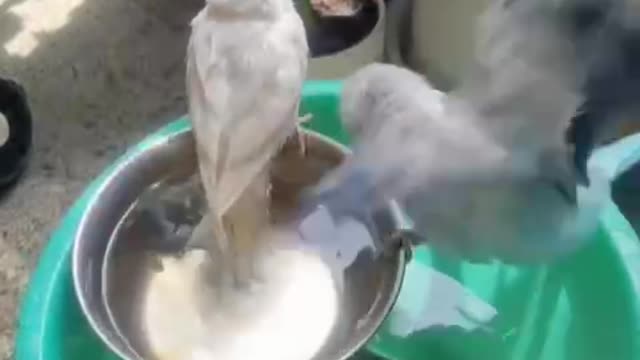 Every beautiful thing is clean