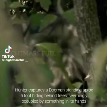 Another fuzzy damn shot of a dog man