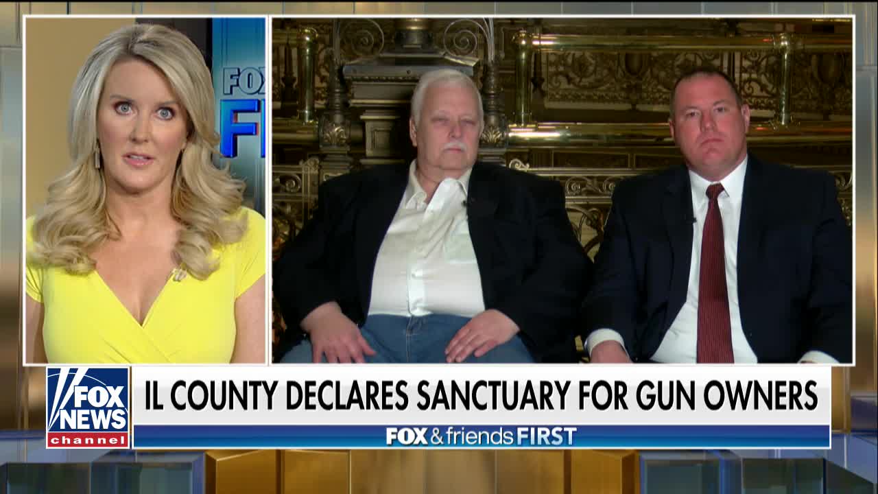 Illinois County declares itself a sanctuary for gun owners