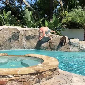 Synchronized diving with Chester!
