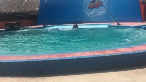 El Rollo Acapulco Park Footage (May 2017)