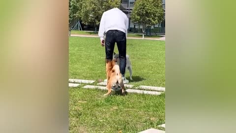 A very funny and interesting video