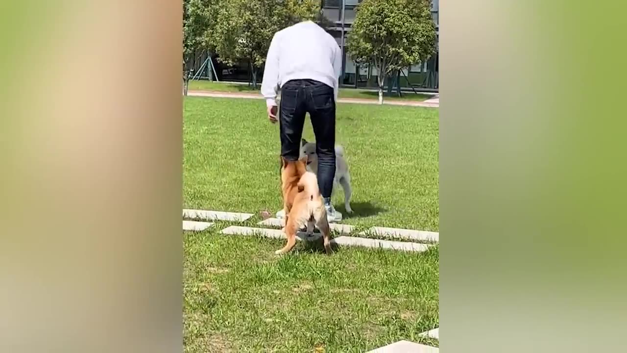 A very funny and interesting video
