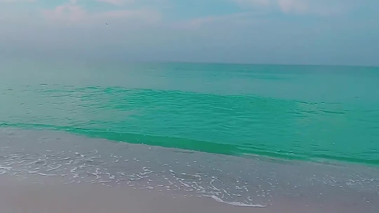 Beautiful Ocean Scene