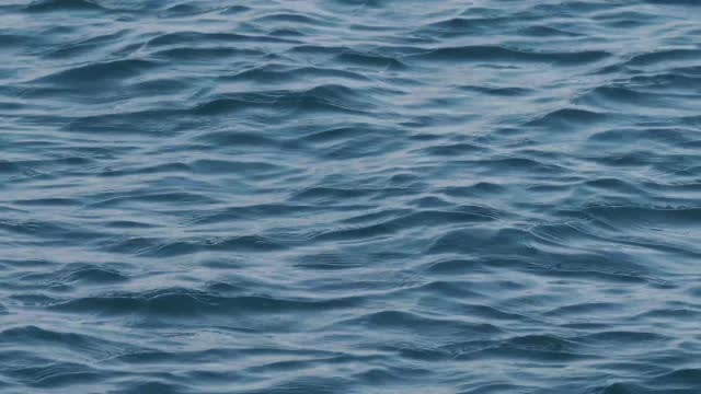 Close-Up Video Of Water Ripples