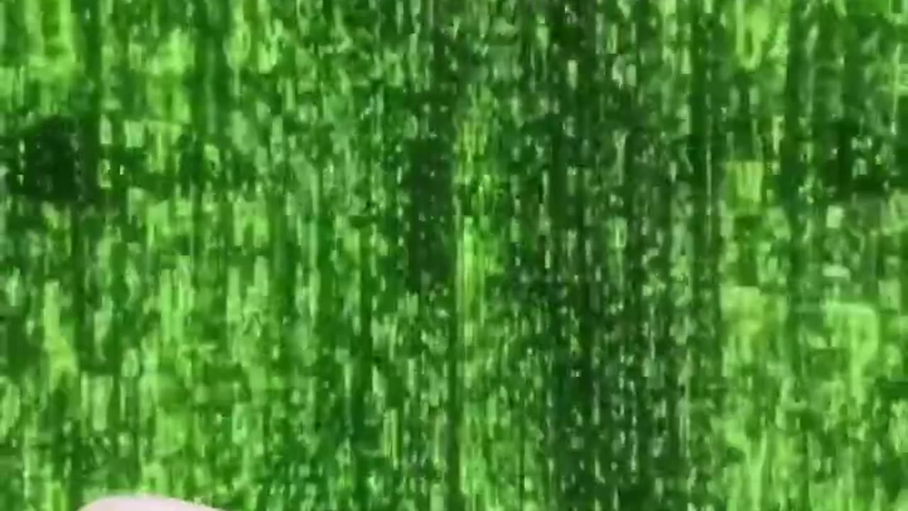 The 3rd Wave