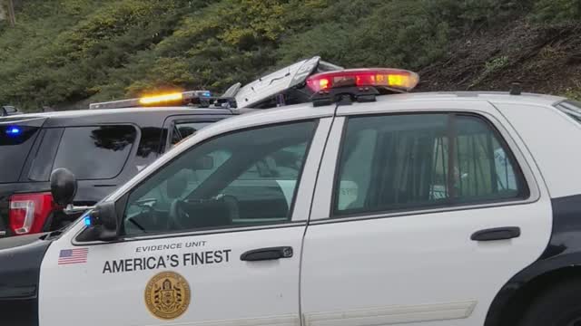 Police Car Crashed on Highway Embankment