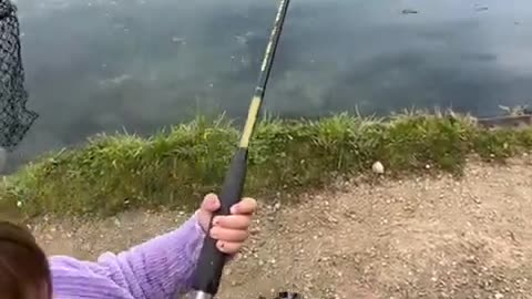 Salmon farm fishing