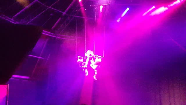 3 Amazing Acrobats