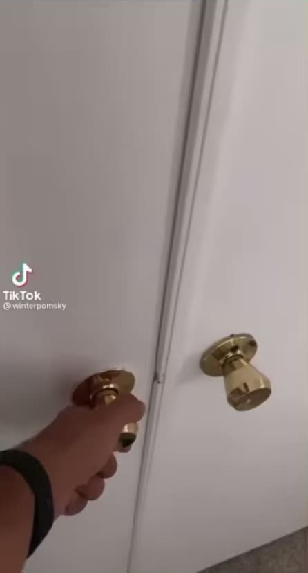 Look at this dog sitting