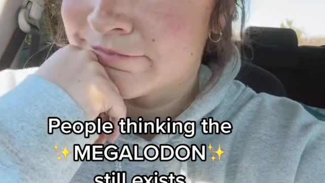 People thinking the MEGALODON still exists