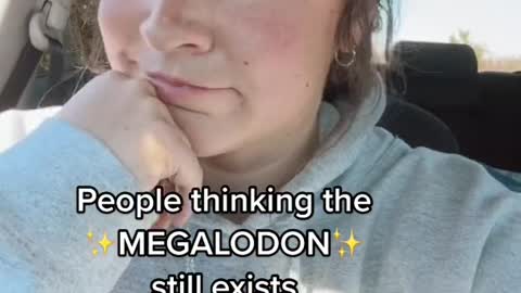 People thinking the MEGALODON still exists