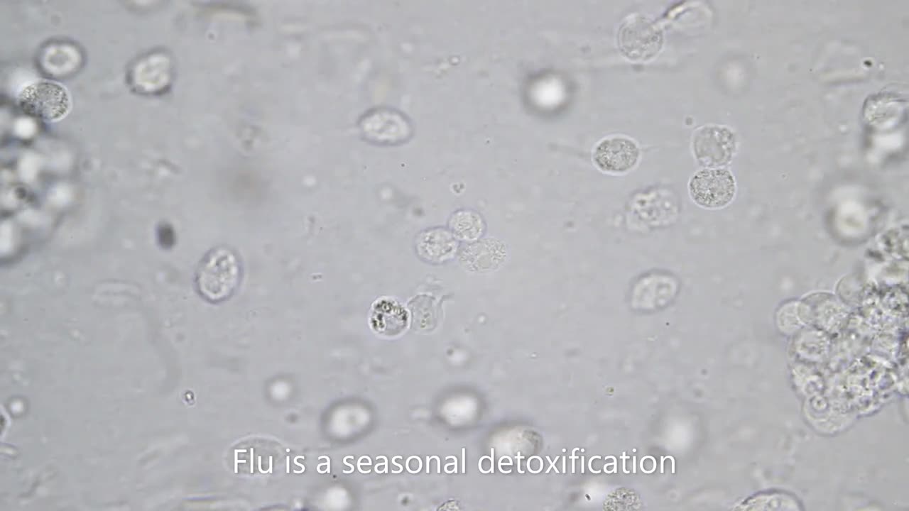 Bacteria Parasites and Virus Fear Mongering The Hidden truth on Viruses and Diseases.mp4