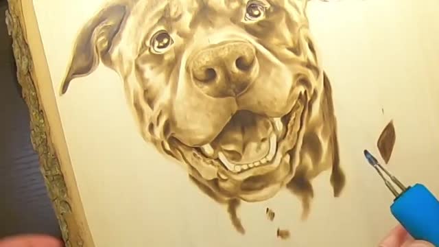 Draw a picture of a dog Ⅶ