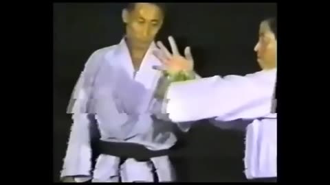 I.H.F. Hapkido Part 2