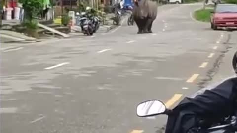 Somewhere in Africa..