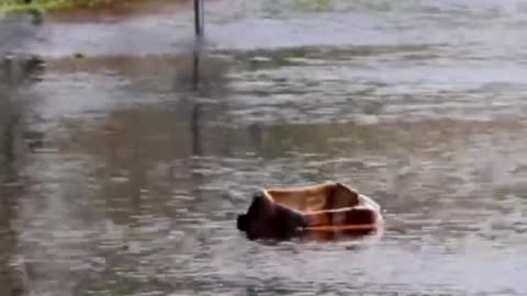 Officials continue to rescue residents as Florida death toll rises!!!