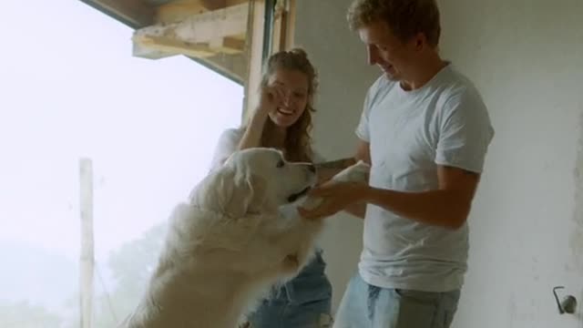 Dog Has A Loud Reaction When His Couch Privileges Are Denied