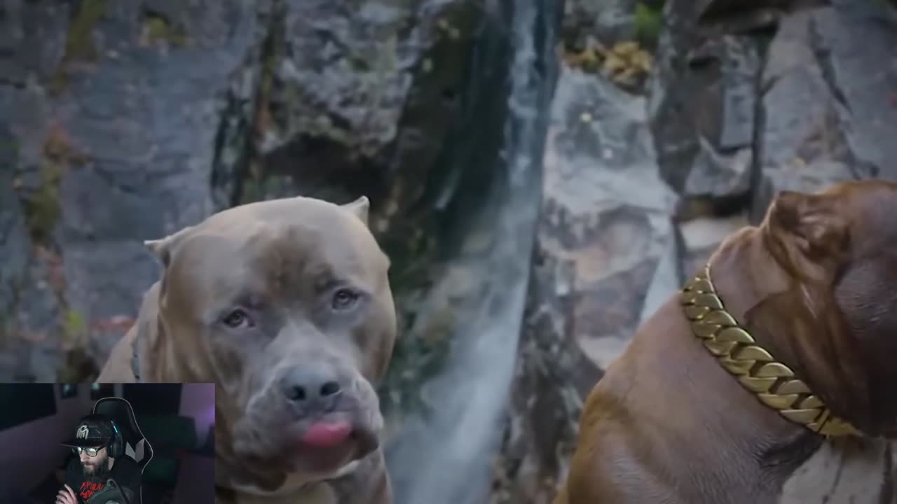 Top 15 Most Dangerous Animals Kept as Pets: A Shocking Reality