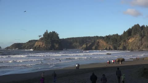 California Trinidad Town Beach Zoom