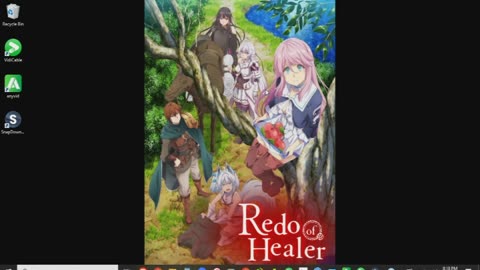 Redo of Healer Review
