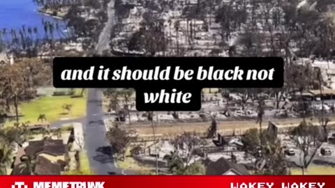 Expert Arborist on the California and Maui Fires