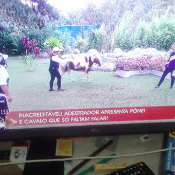 treinando cavalo pt2