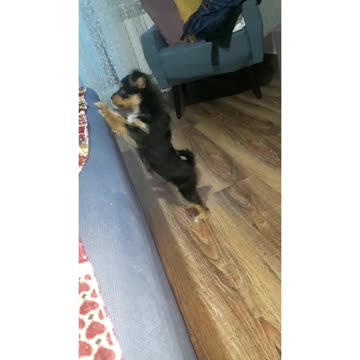 Take me to you please