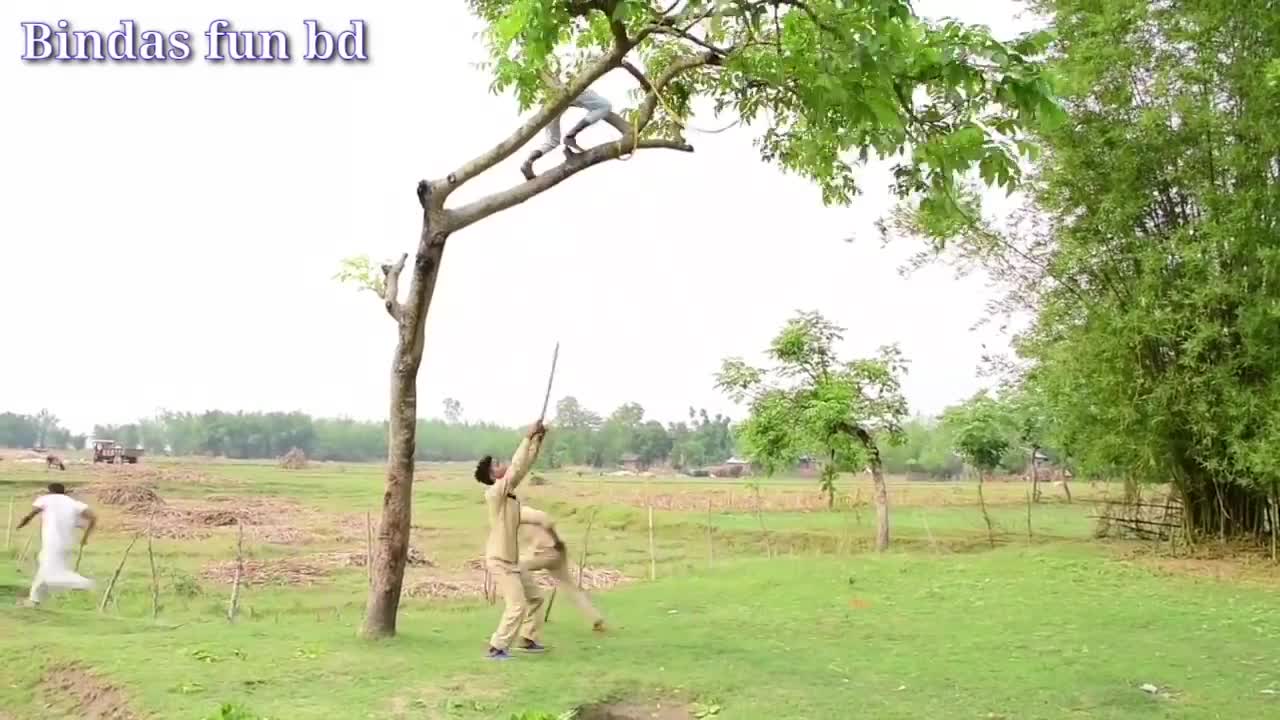 Its so funny !!