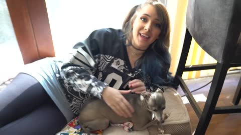 Jenna Marbles - My Dog Meets My Cat