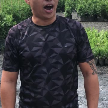 在高地山农场种植的绿色巨型侧柏请致电 215 651 8329