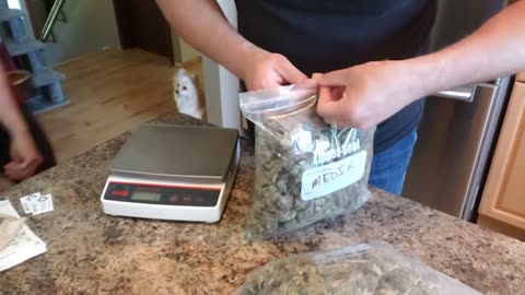 Weigh-in: Best of Grow OS630B LED - Ebb & Flow Hydroponics & Nutrient Test - Ep03