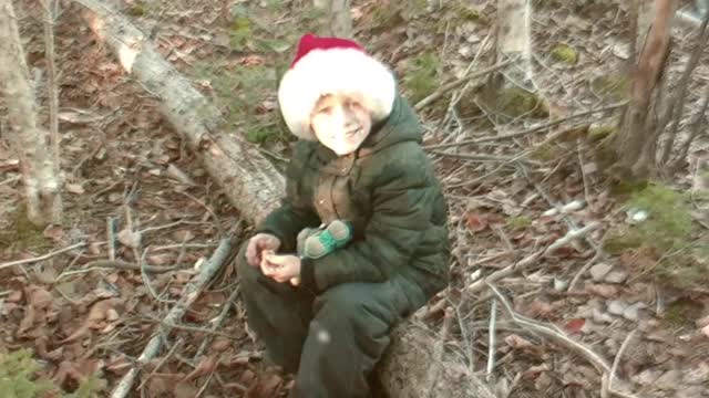 A Christmas camp Story