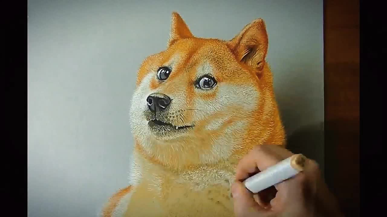 Akita - realistic drawings that look really really real