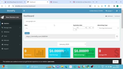 Earn Money From Exblog