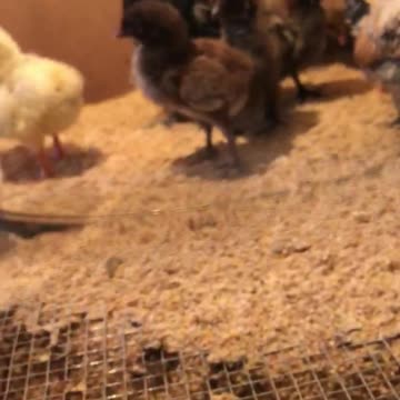 Why does he look at me like that?