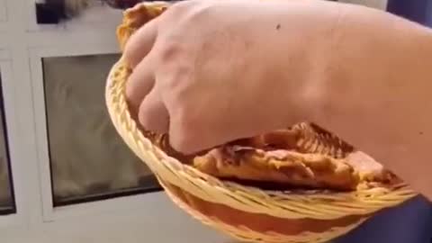 Dinner is served