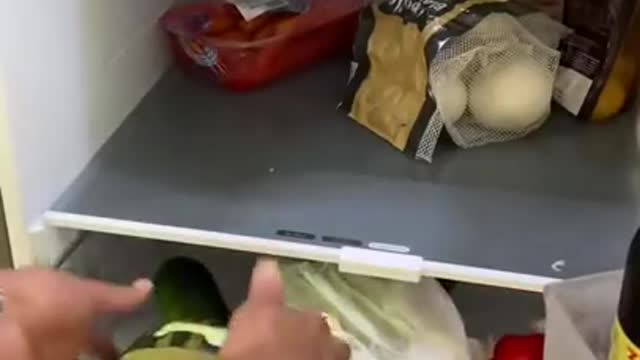 Funny baby dog video | funny Dogs | cute Dogs new videos | funny failsfunny