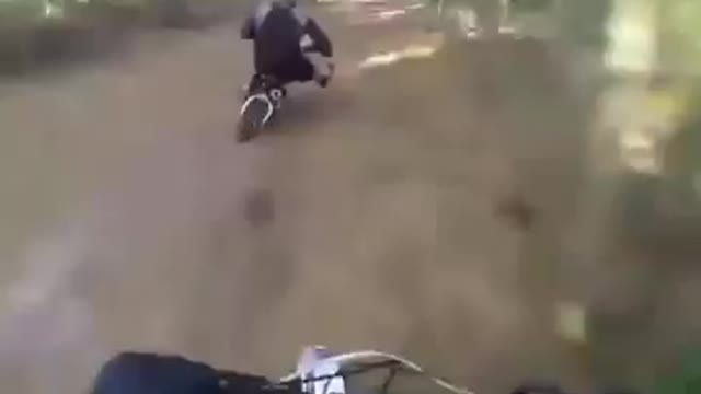 Dog sounds like a dirt bike